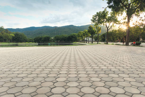 Best Affordable Driveway Pavers  in Plains, MT