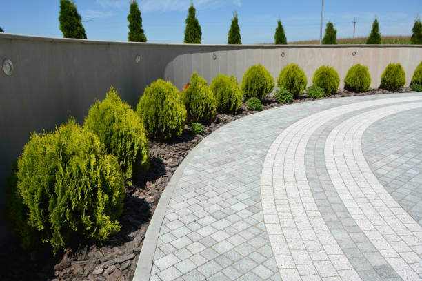 Best Best Driveway Pavers  in Plains, MT